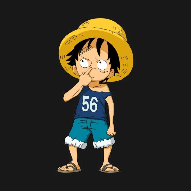 avatar Luffy 12