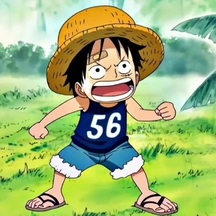 avatar Luffy 20