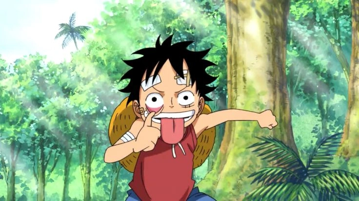 avatar Luffy 21