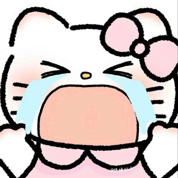 meme Hello Kitty 5