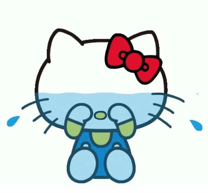 meme Hello Kitty 8