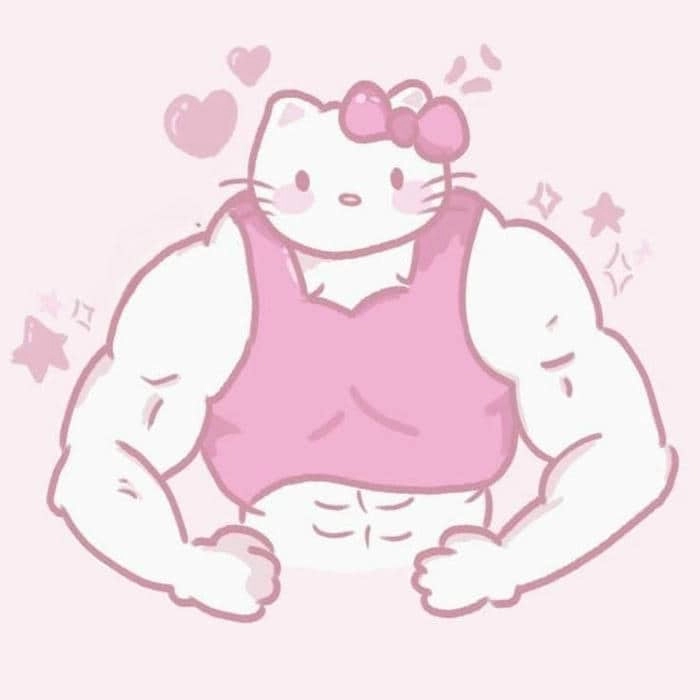 meme Hello Kitty 9