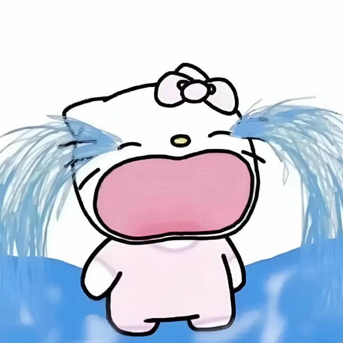 meme Hello Kitty 13