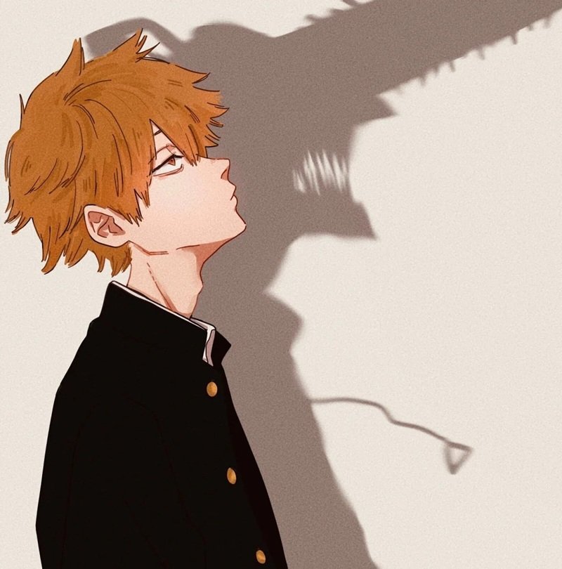 monster anime 25